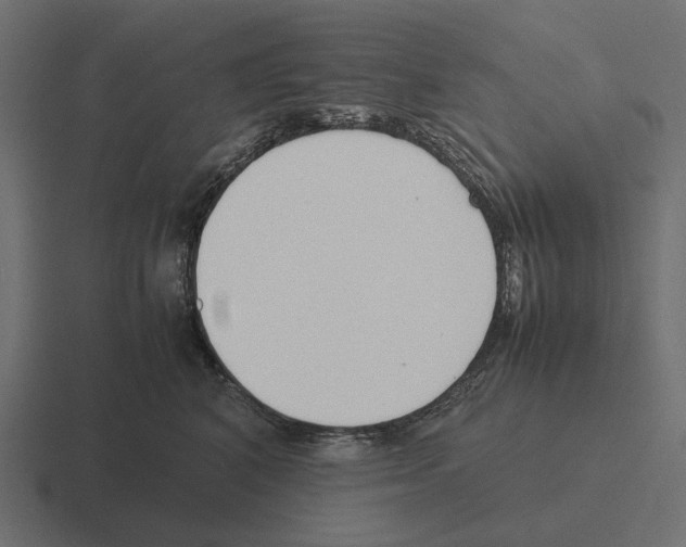 X0000116270616200912291334