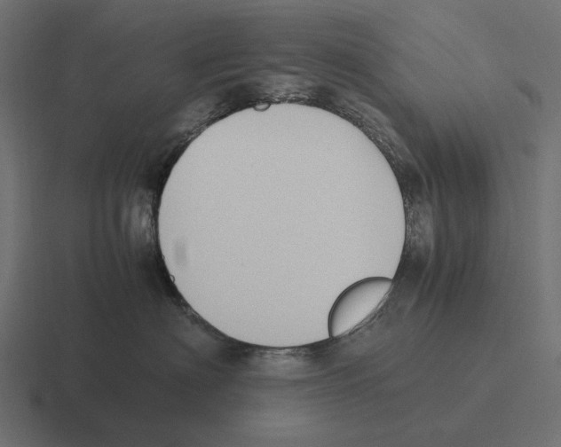 X0000116270622200912291334