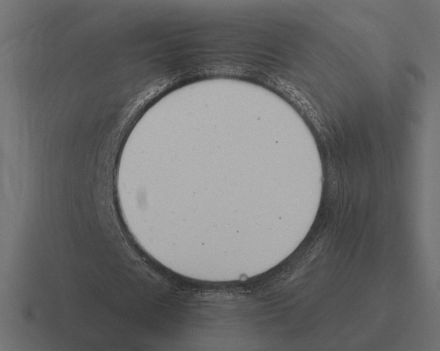X0000116270625200912291334