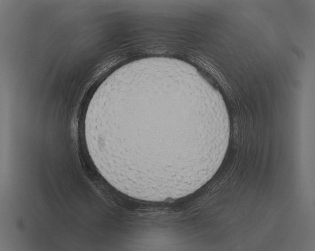 X0000116270626200912291334