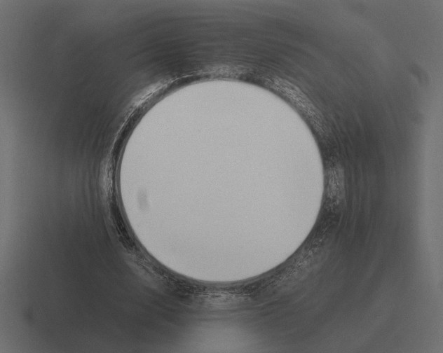 X0000116270632200912291334