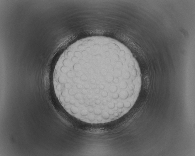 X0000116270638200912291334