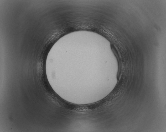 X0000116270642200912291334