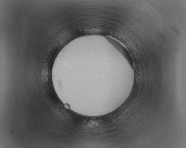X0000116270647200912291334