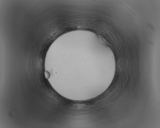 X0000116270650200912291334