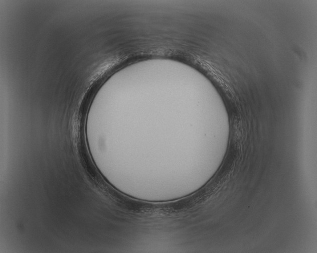 X0000116270679200912291334