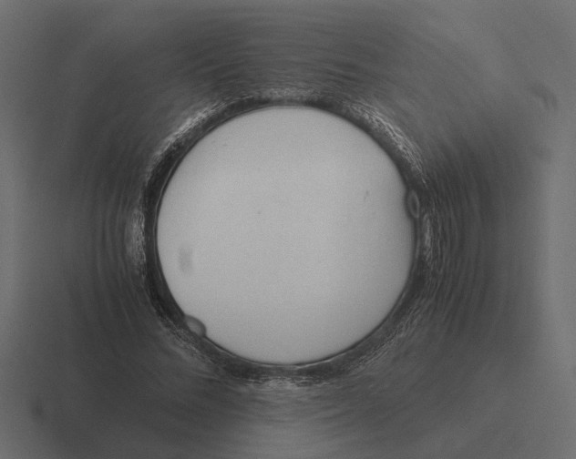 X0000116270684200912291334