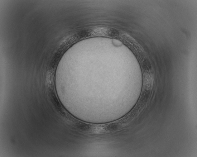 X0000116270701200912291333