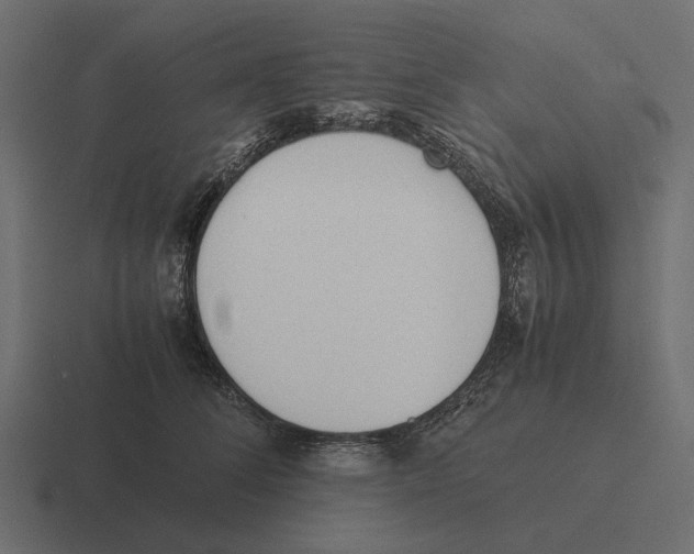 X0000116270708200912291333