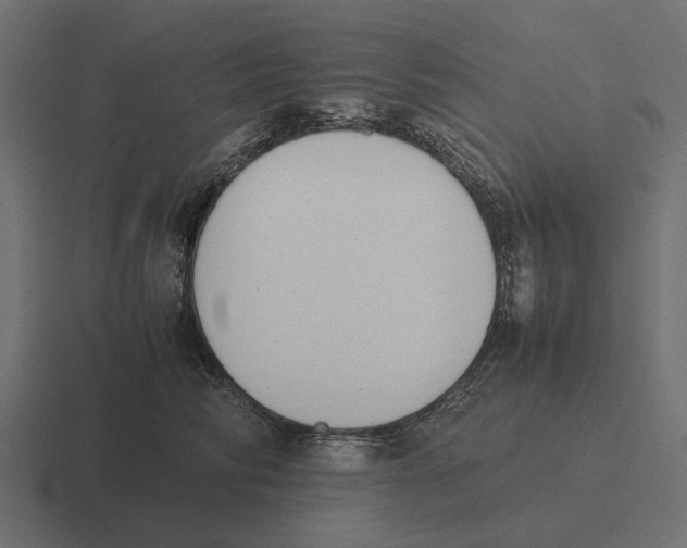 X0000116270710200912291333
