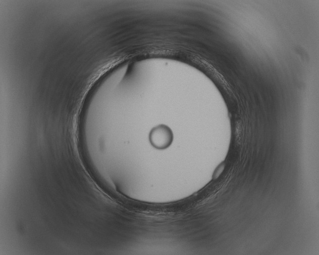 X0000116270725200912291333