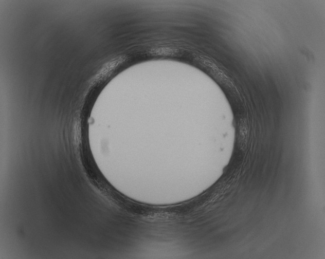 X0000116270734200912291333