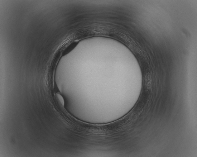 X0000116270735200912291333