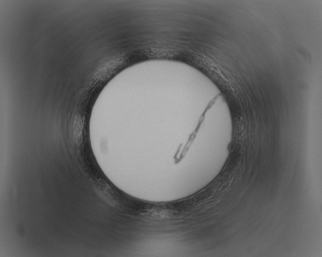 X0000116270742200912291333