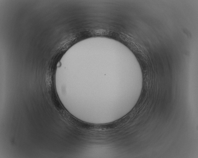 X0000116270746200912291333