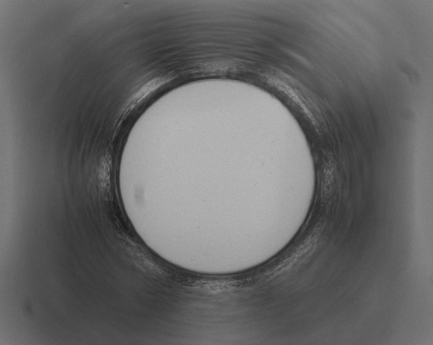 X0000116270778200912291332