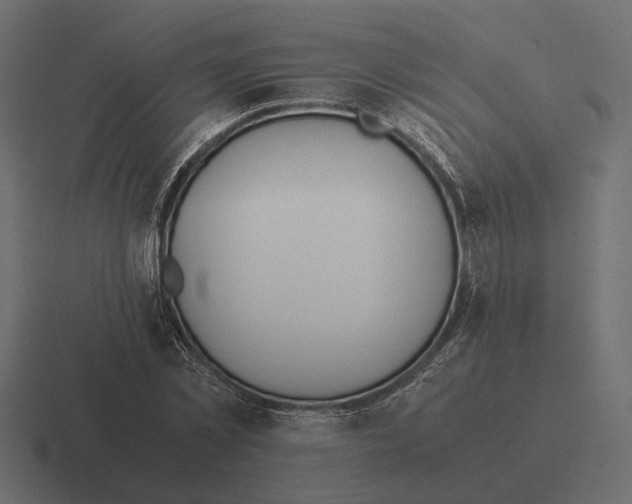 X0000116270781200912291332