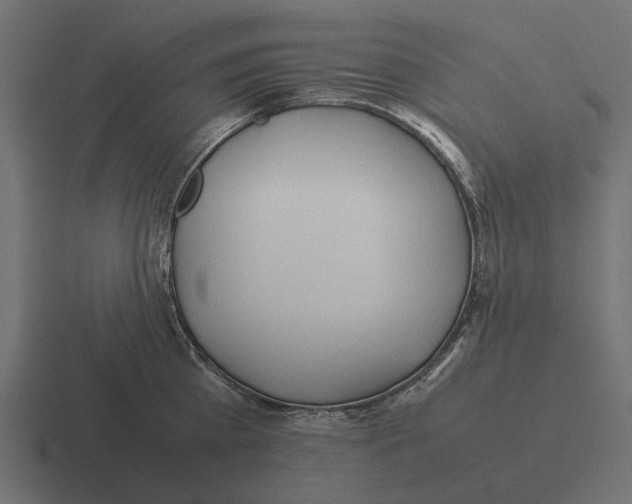X0000116270809200912291332