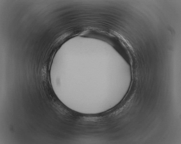 X0000116270825200912291331