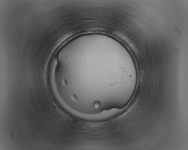 X0000116270829200912291331
