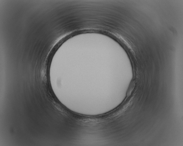 X0000116270830200912291331