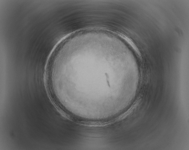 X0000116270832200912291331