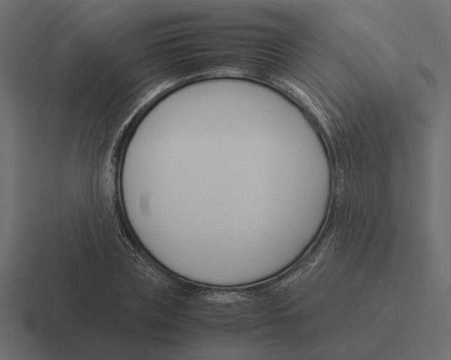 X0000116270835200912291331