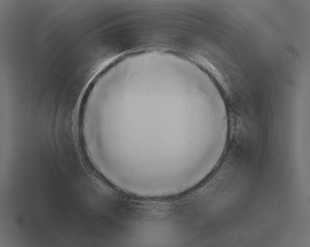 X0000116270836200912291332