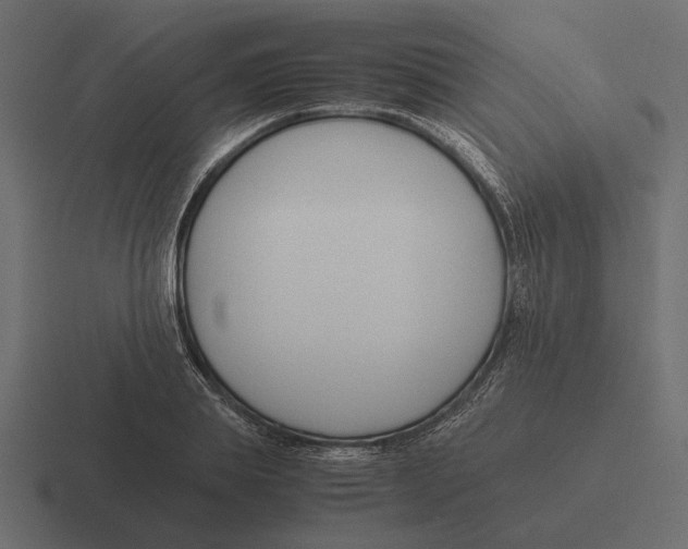 X0000116270839200912291332