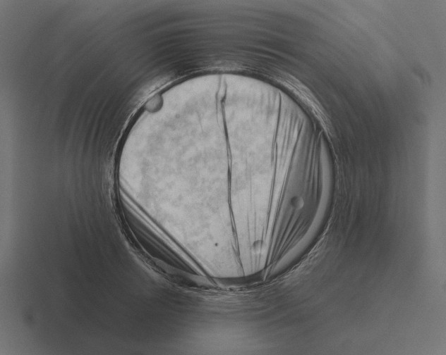 X0000116270850200912291332