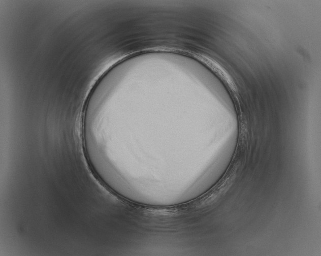 X0000116270855200912291332