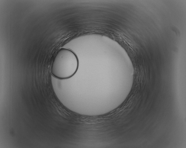 X0000116270868200912291331