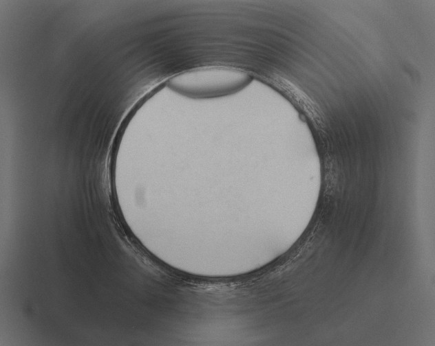 X0000116270892200912291331