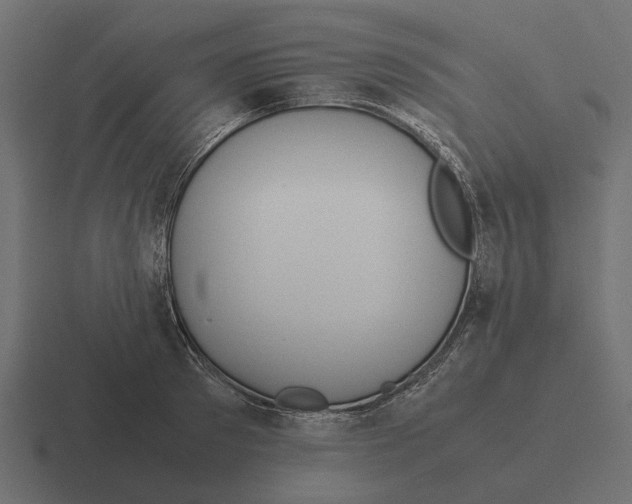 X0000116270897200912291331