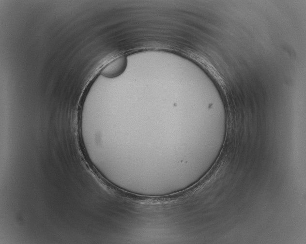 X0000116270898200912291331