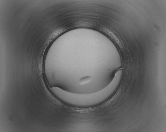 X0000116270938200912291330