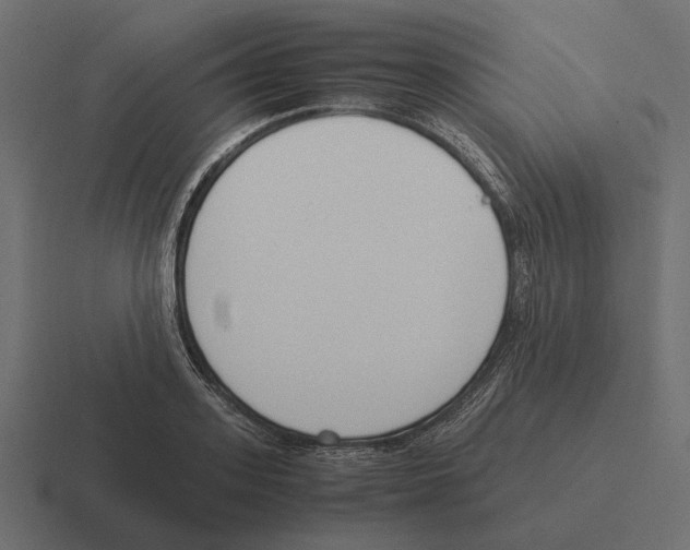 X0000116270939200912291330