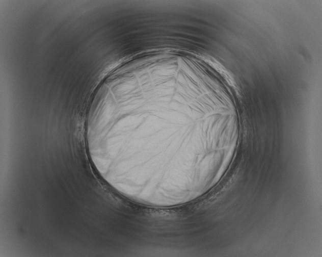 X0000116270945200912291330