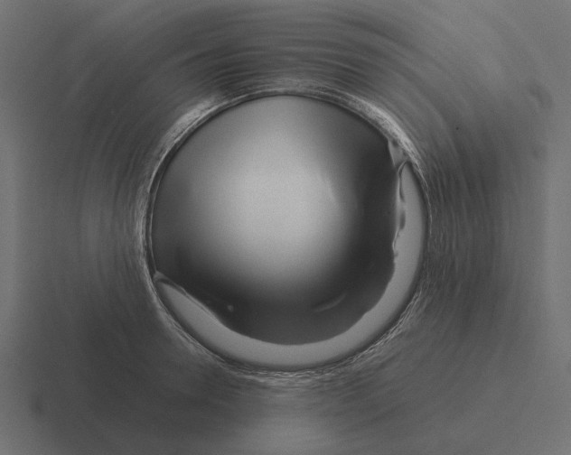 X0000116270946200912291330