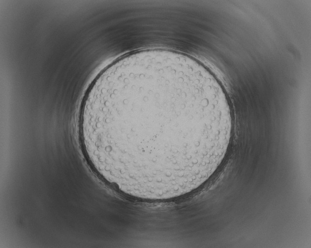 X0000116270949200912291331