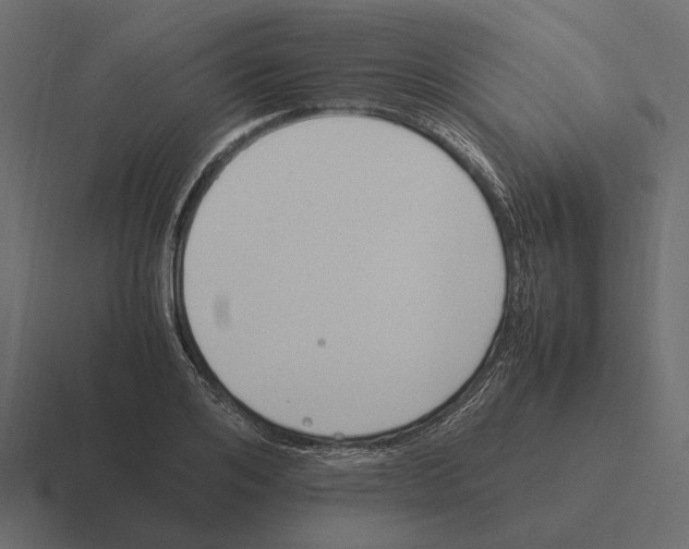 X0000116270984200912291330
