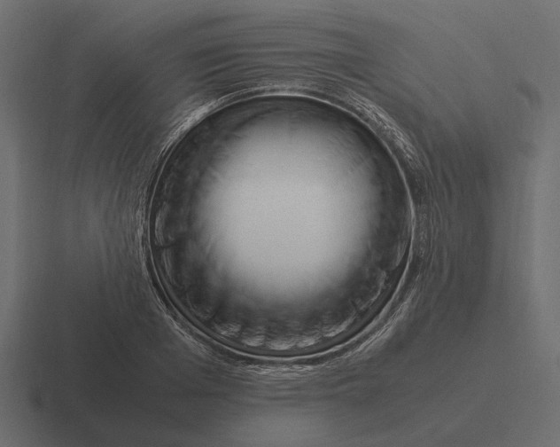 X0000116270985200912291330