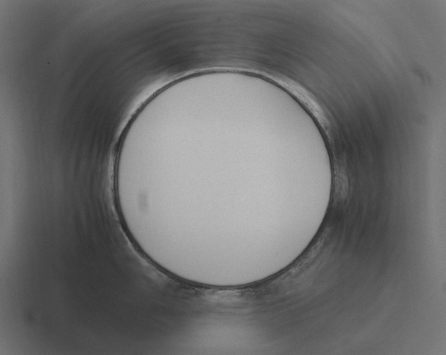 X0000116271006200912291329