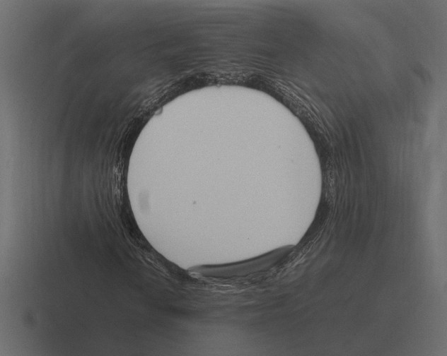 X0000116271010200912291329