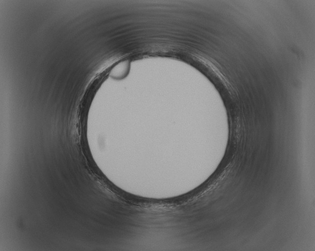 X0000116271018200912291329