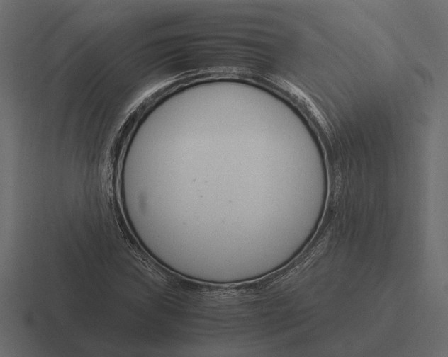 X0000116271019200912291329