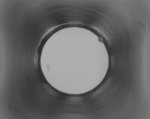 X0000116271021200912291329