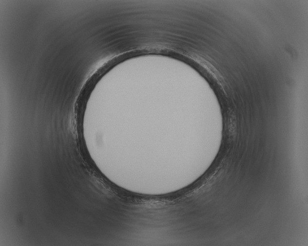 X0000116271022200912291329