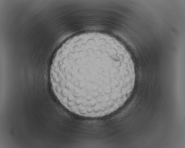 X0000116271025200912291329