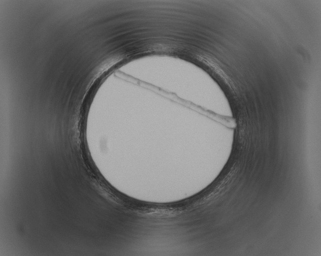 X0000116271026200912291329